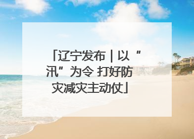 辽宁发布｜以“汛”为令 打好防灾减灾主动仗