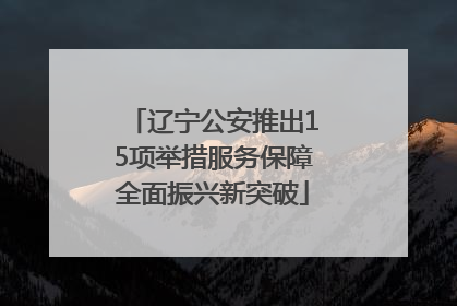 辽宁公安推出15项举措服务保障全面振兴新突破