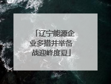 辽宁能源企业多措并举备战迎峰度夏