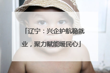 辽宁：兴企护航稳就业，聚力赋能暖民心