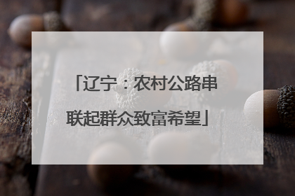 辽宁：农村公路串联起群众致富希望