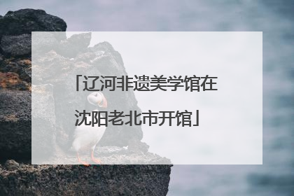 辽河非遗美学馆在沈阳老北市开馆