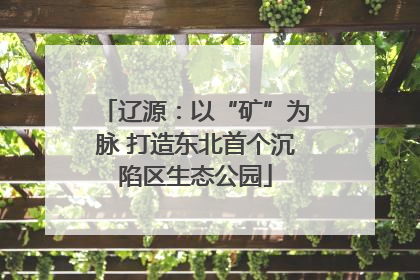 辽源：以“矿”为脉 打造东北首个沉陷区生态公园