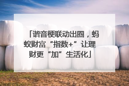 谐音梗联动出圈，蚂蚁财富“指数+”让理财更“加”生活化