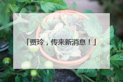贾玲，传来新消息！