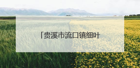 贵溪市流口镇细叶村：盘活闲置资源助力乡村振兴（图）