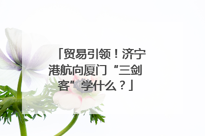 贸易引领！济宁港航向厦门“三剑客”学什么？