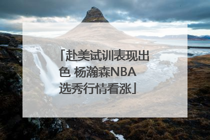 赴美试训表现出色 杨瀚森NBA选秀行情看涨