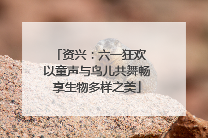 资兴：六一狂欢 以童声与鸟儿共舞畅享生物多样之美