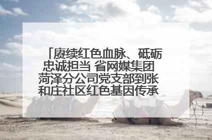 赓续红色血脉、砥砺忠诚担当 省网媒集团菏泽分公司党支部到张和庄社区红色基因传承馆开展主题党日活动