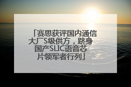 赛思获评国内通信大厂S级供方，跻身国产SLIC语音芯片领军者行列