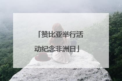 赞比亚举行活动纪念非洲日