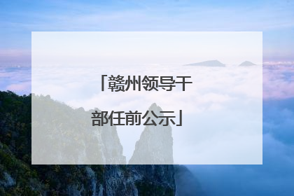 赣州领导干部任前公示