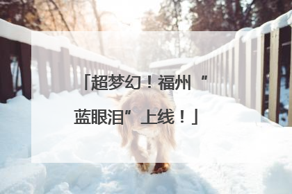 超梦幻！福州“蓝眼泪”上线！
