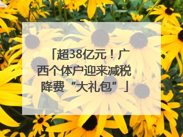 超38亿元！广西个体户迎来减税降费“大礼包”