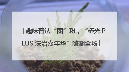 趣味普法“圈”粉，“椿光·PLUS 法治嘉年华”嗨翻全场