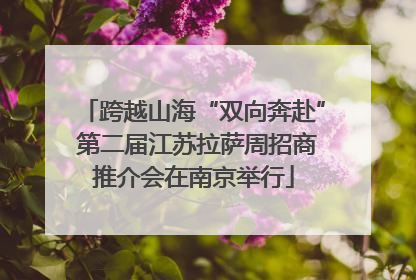 跨越山海“双向奔赴” 第二届江苏拉萨周招商推介会在南京举行