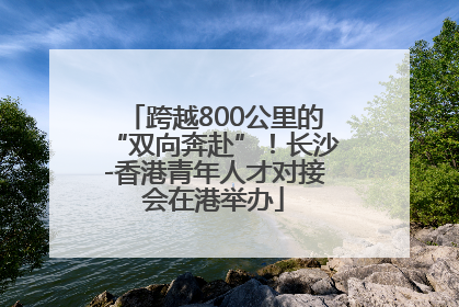 跨越800公里的“双向奔赴”！长沙-香港青年人才对接会在港举办