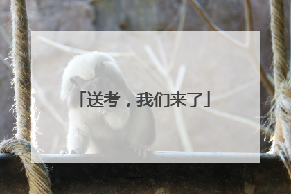 送考，我们来了