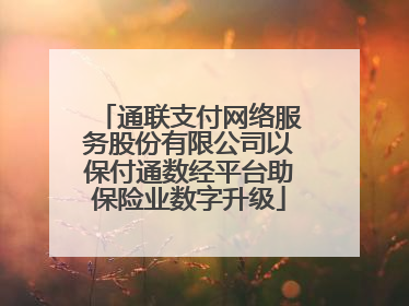 通联支付网络服务股份有限公司以保付通数经平台助保险业数字升级