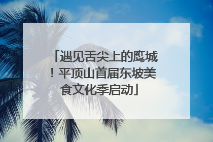 遇见舌尖上的鹰城！平顶山首届东坡美食文化季启动