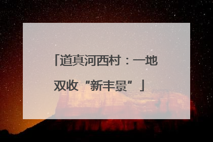 道真河西村：一地双收“新丰景”