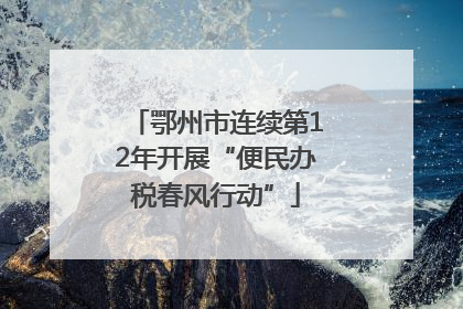 鄂州市连续第12年开展“便民办税春风行动”