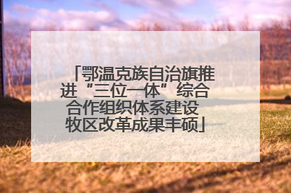 鄂温克族自治旗推进“三位一体”综合合作组织体系建设 牧区改革成果丰硕