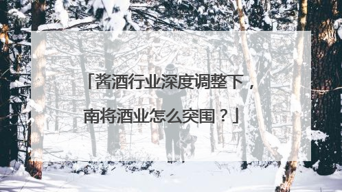 酱酒行业深度调整下，南将酒业怎么突围？
