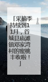 采摘季持续到11月，谷城县庙滩镇邓家湾村的蜜桃丰收啦！