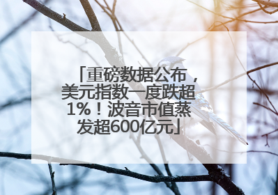 重磅数据公布，美元指数一度跌超1%！波音市值蒸发超600亿元
