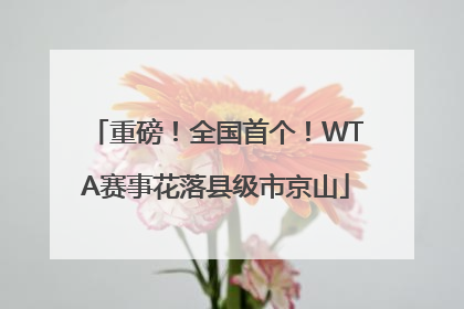 重磅！全国首个！WTA赛事花落县级市京山
