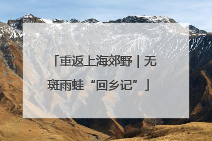 重返上海郊野｜无斑雨蛙“回乡记”