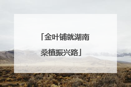 金叶铺就湖南桑植振兴路