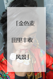 金色麦田里丰收风景