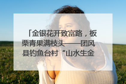 金银花开致富路，板栗青果满枝头——团风县钓鱼台村“山水生金”谱写共富新篇章