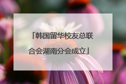 韩国留华校友总联合会湖南分会成立