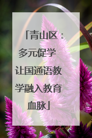 青山区：多元促学 让国通语教学融入教育血脉