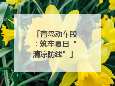 青岛动车段：筑牢夏日“清凉防线”