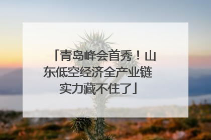 青岛峰会首秀！山东低空经济全产业链实力藏不住了