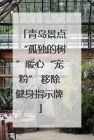 青岛景点“孤独的树”暖心“宠粉” 移除健身指示牌