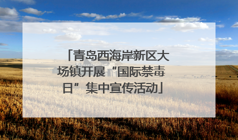 青岛西海岸新区大场镇开展“国际禁毒日”集中宣传活动