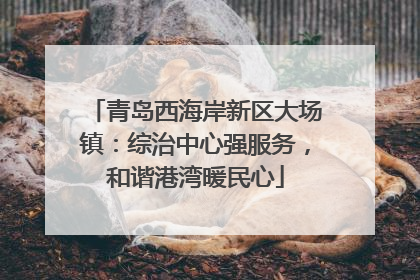 青岛西海岸新区大场镇：综治中心强服务，和谐港湾暖民心