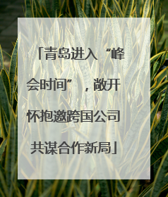 青岛进入“峰会时间”，敞开怀抱邀跨国公司共谋合作新局