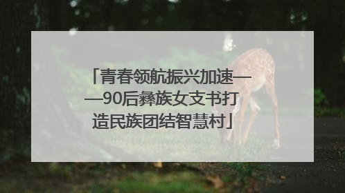青春领航振兴加速——90后彝族女支书打造民族团结智慧村
