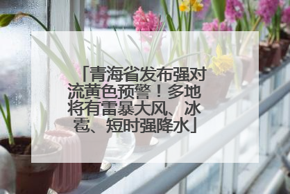 青海省发布强对流黄色预警！多地将有雷暴大风、冰雹、短时强降水