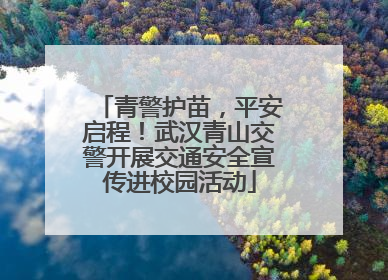 青警护苗，平安启程！武汉青山交警开展交通安全宣传进校园活动