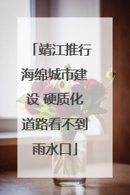 靖江推行海绵城市建设 硬质化道路看不到雨水口