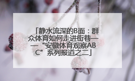 静水流深的B面：群众体育如何走进街巷——“安徽体育观察ABC”系列报道之二