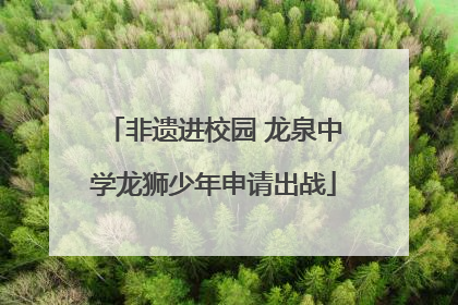 非遗进校园 龙泉中学龙狮少年申请出战